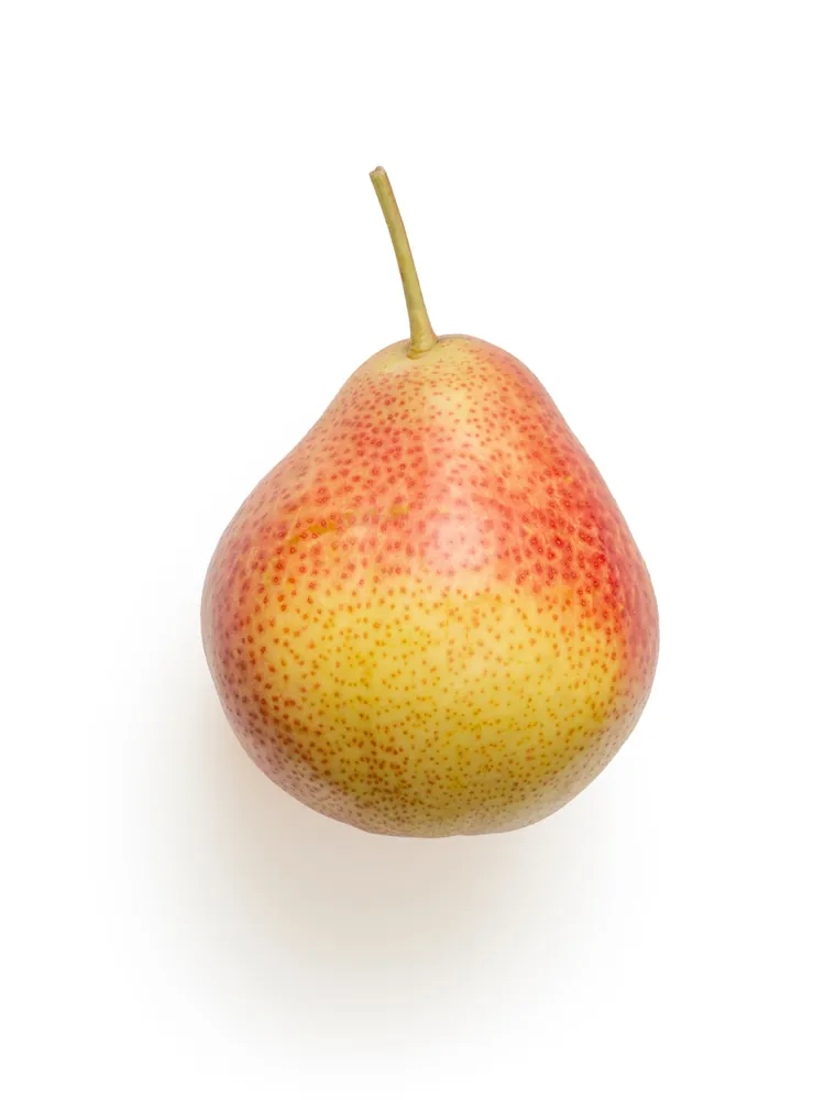 Obst vom Grandl-Hof