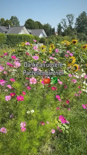 Danke an unsere Parzellengärtner