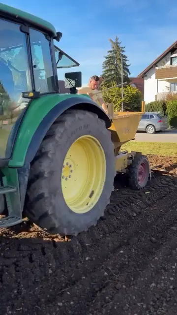 Tulpenzwiebeln setzen