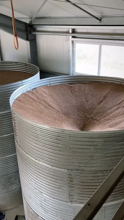 Weizen ausgelagert